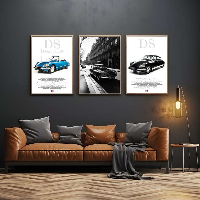 Citroen DS Classic French Car Poster